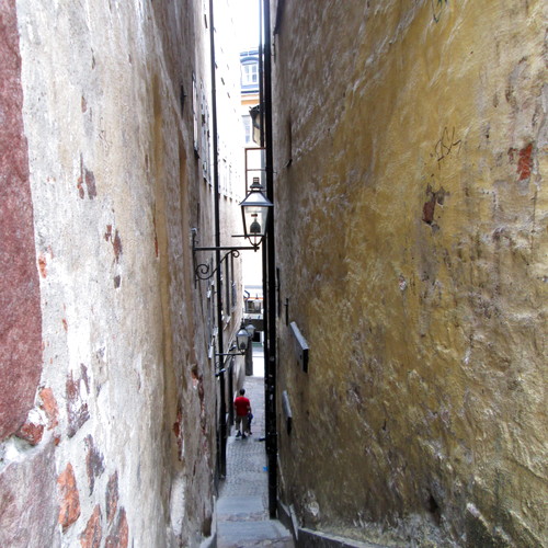 Nelj�s lukijakuva viikolle 1